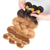 Queen Hair Inc Wholesales 10A+ 1b/27# Color Bundles Deal Body Wave