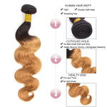 Queen Hair Inc Wholesales 10A+ 1b/27# Color Bundles Deal Body Wave