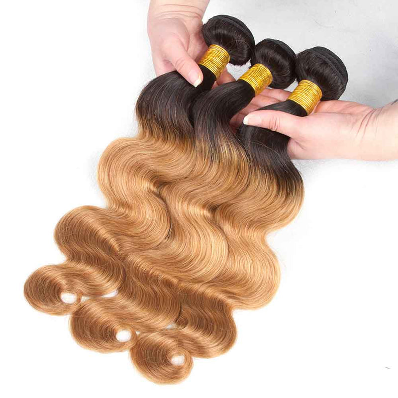 Queen Hair Inc Wholesales 10A+ 1b/27# Color Bundles Deal Body Wave Staight