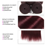 Queen Hair Inc Wholesales 10A+ 99J# Color Bundles Deal Straight